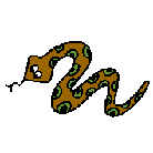 snake